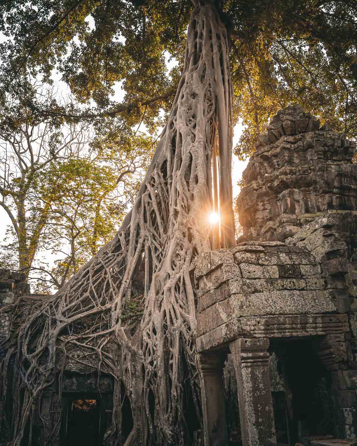 Cambodia Vegan Tour 7-day Trip Ta Prahom