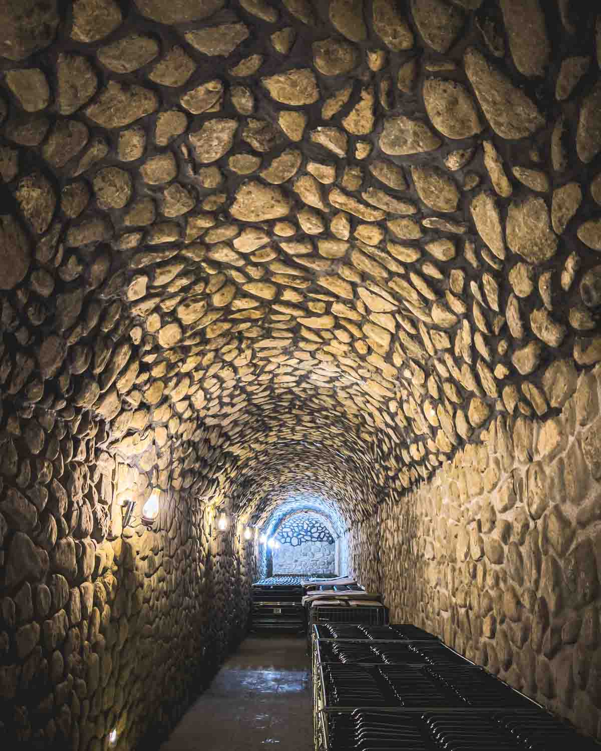 Ningxia Wineries China Wine Tasting Cellar