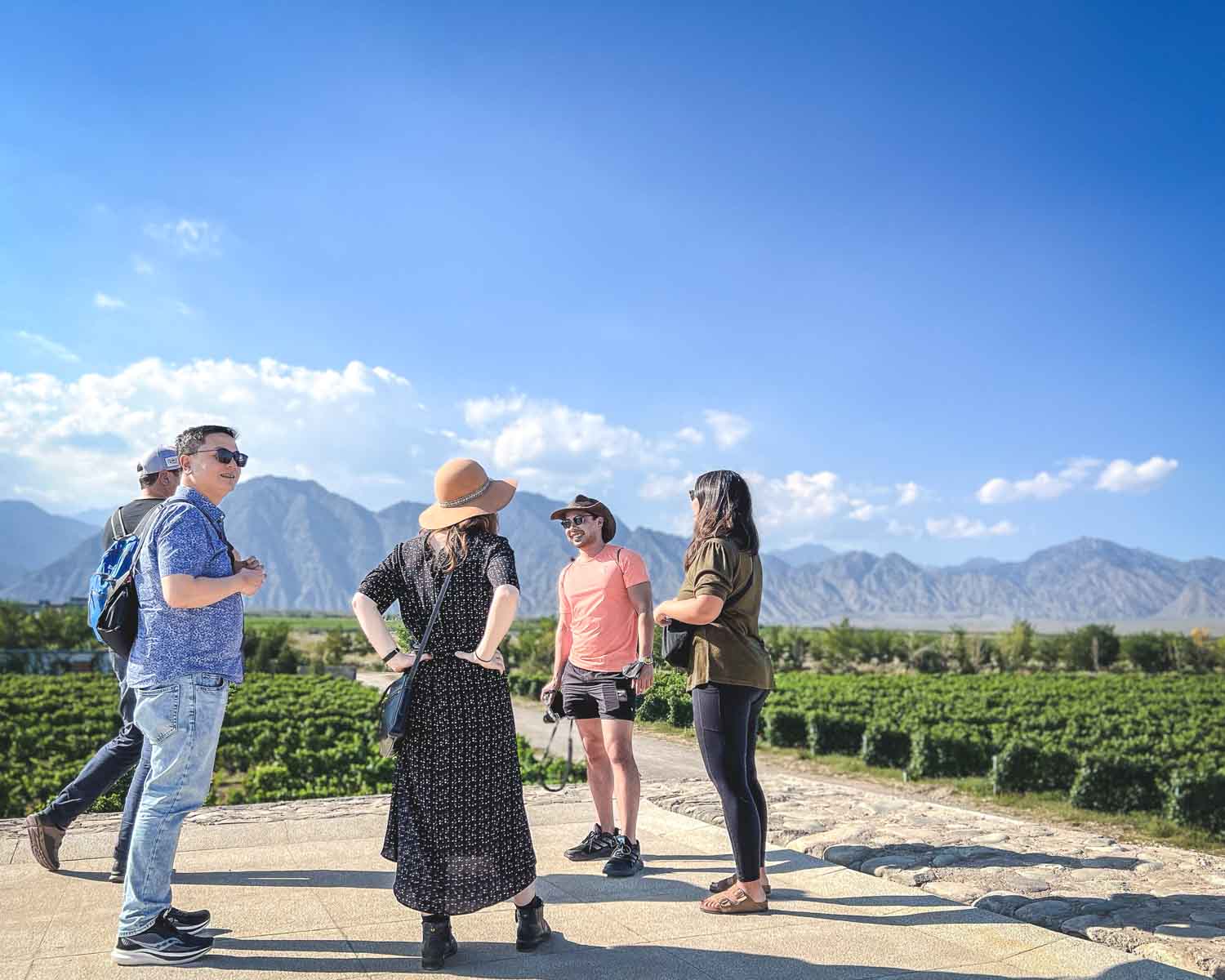 Ningxia Wineries China Wine Tasting Views