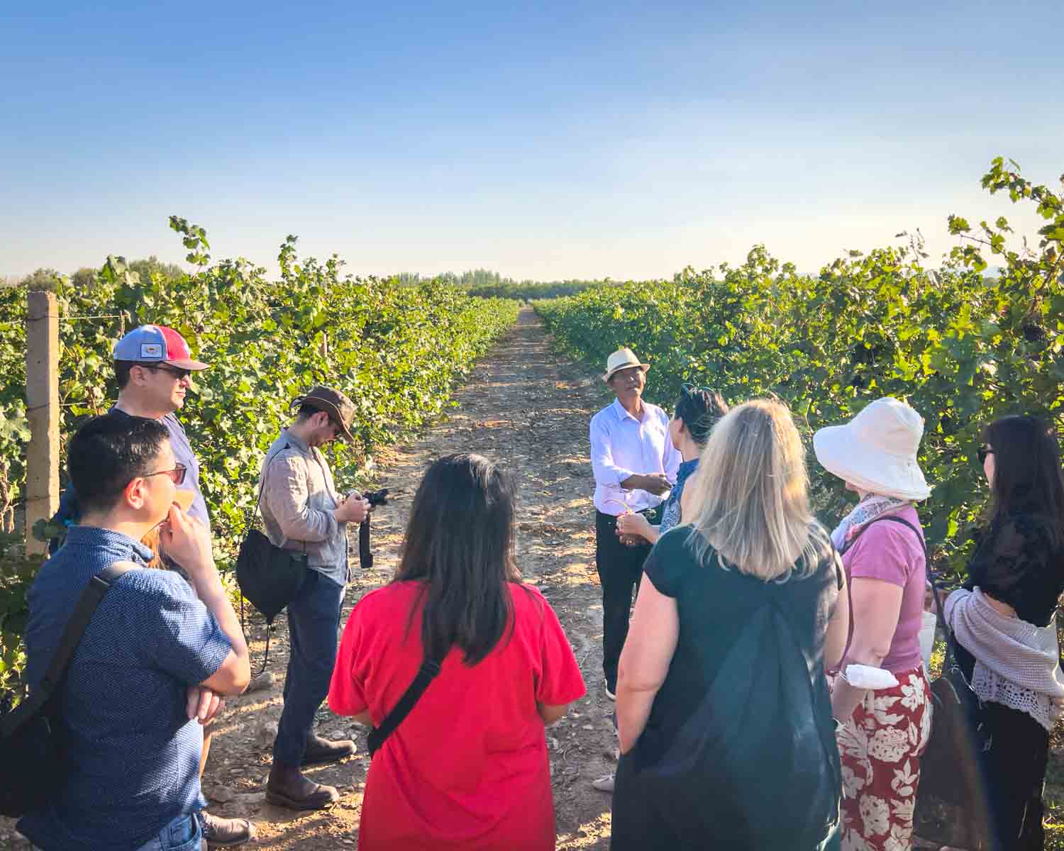 Ningxia Wineries China Wine Tasting Vineyard Visit
