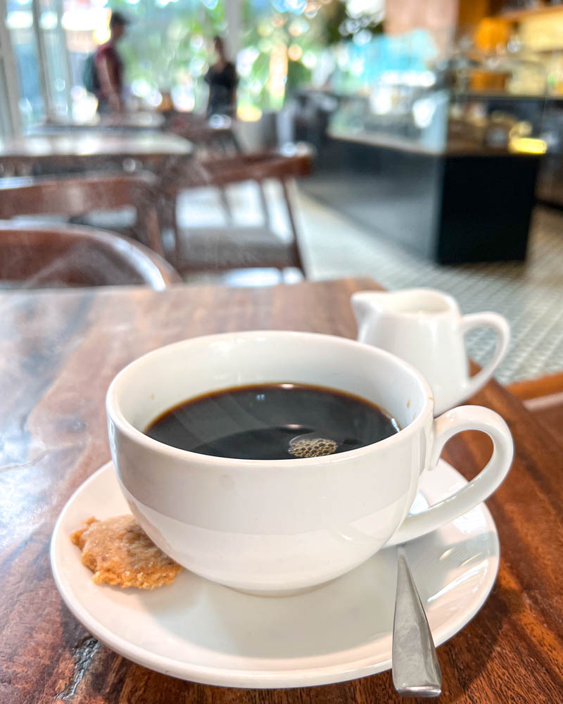Phnom Penhs Best Coffee and Cafes Java Cup