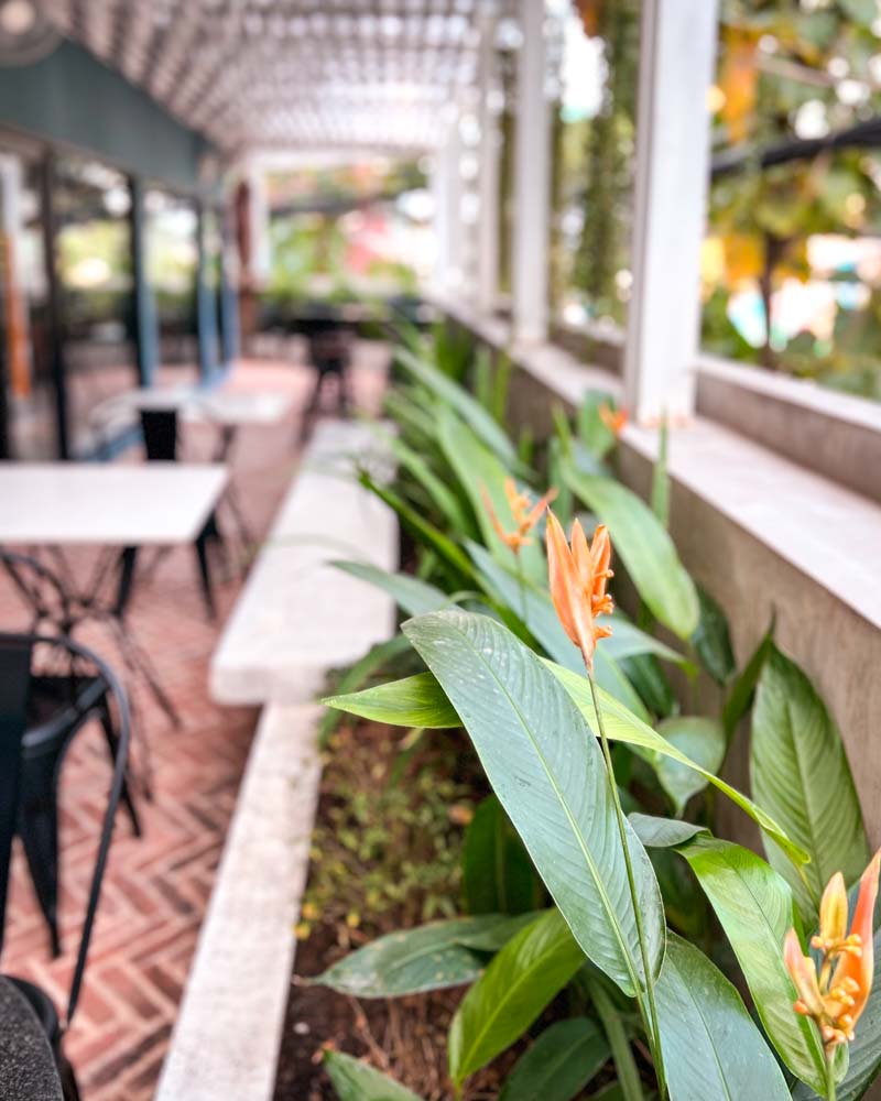 Phnom Penhs Best Coffee and Cafes Noir Coffee Balcony