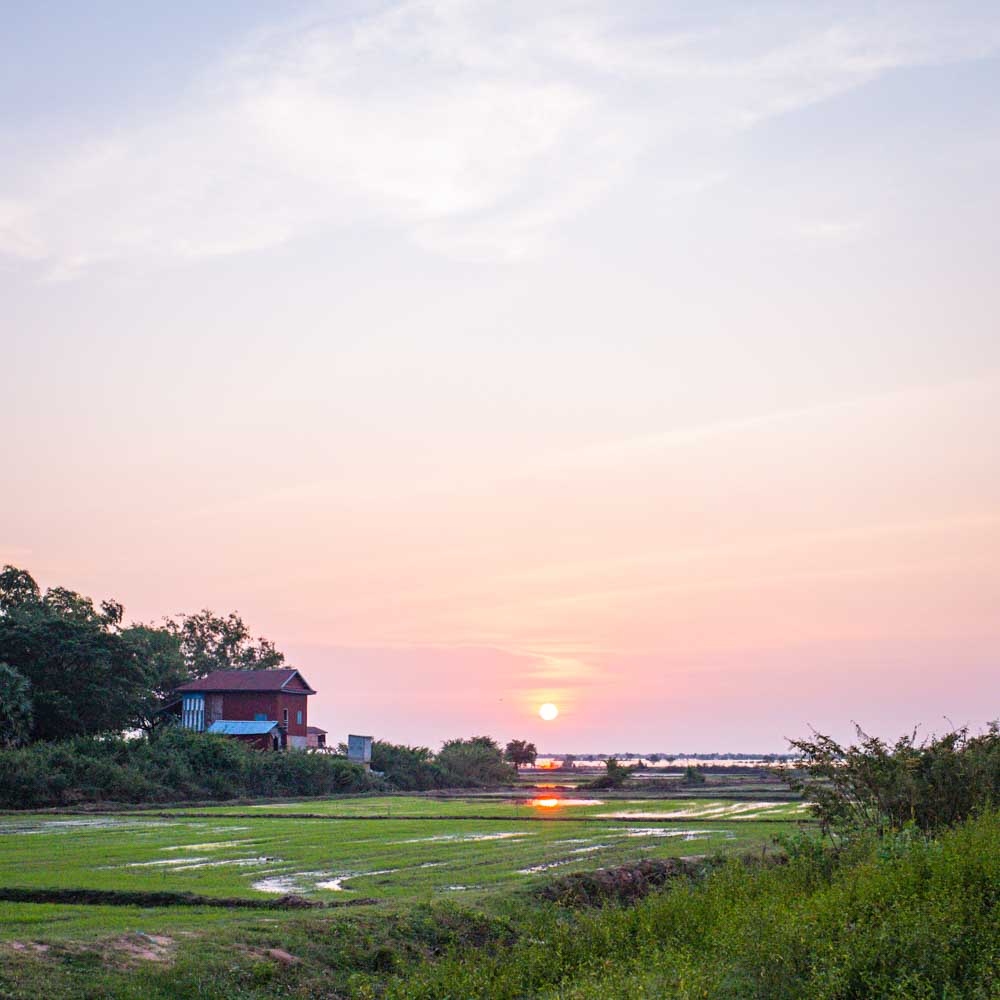 Siem Reap Food Tour Sunset Countryside