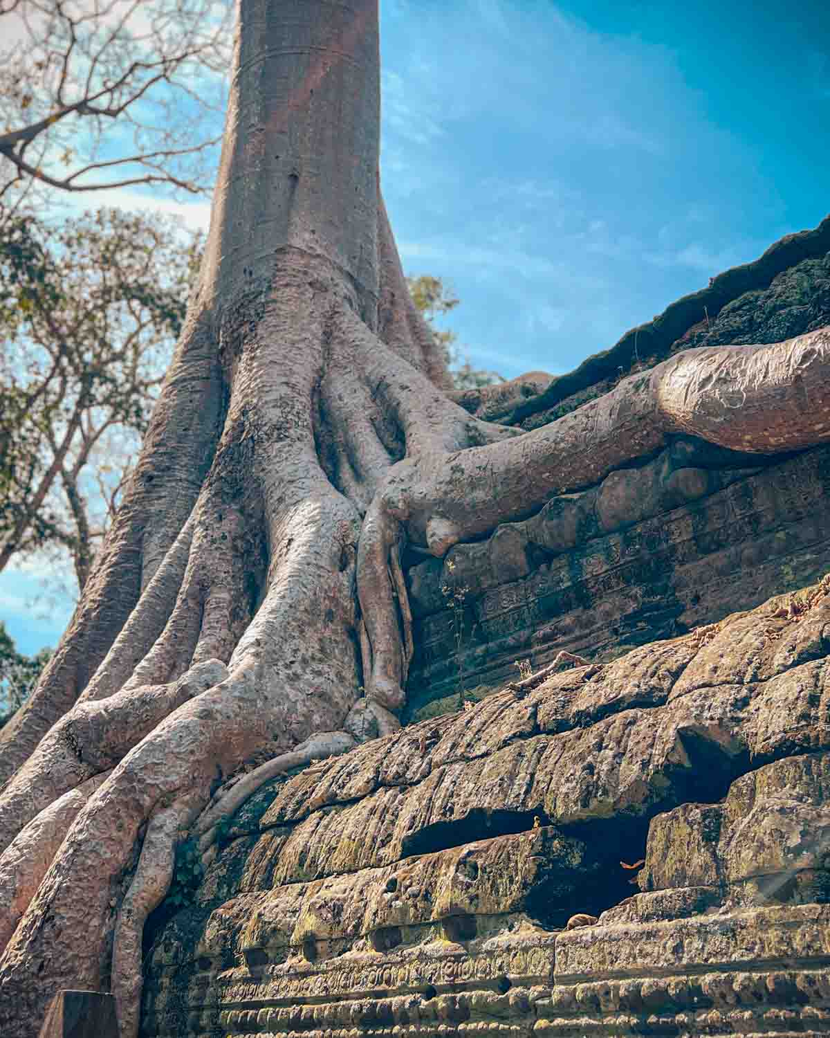 Siem Reap Full-Day Temples & Food Tour Temple