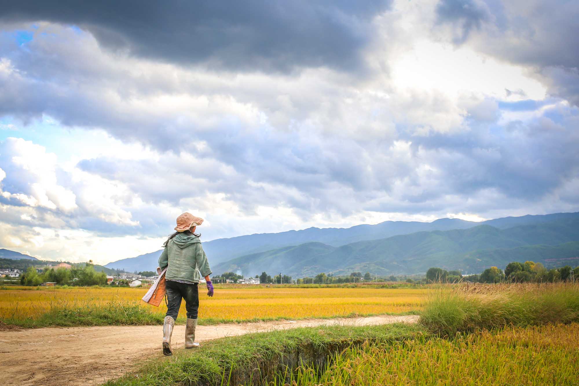 Why You Must Visit Shaxi Yunnan China Rice Fields