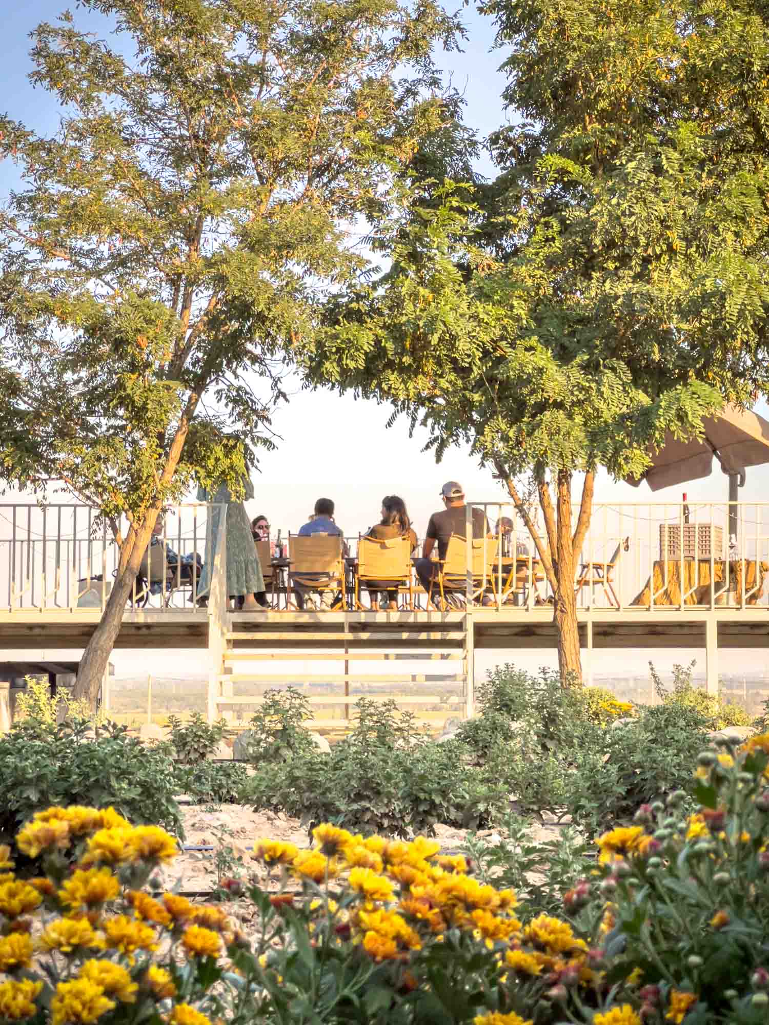 Wine Taste Through China's Wine Region of Ningxia13